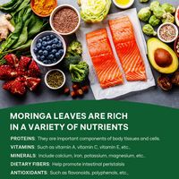 Tisane de feuilles de Moringa de haute qualité, sans caféine, anti-âge, nettoyant pour le côlon, pour un ventre plat et la perte de poids, sachet santé