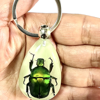 Porte-clés, insecte en résine, scintillant dans un insecte, bijou tendance,
