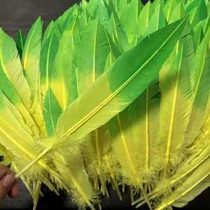 Plumas de Pavo <span class=keywords><strong>Nandu</strong></span> Teñidas en Dos Tonos al por Mayor para Accesorios de Mochilas y Plumas de Lujo para Carnaval - Product Image 5