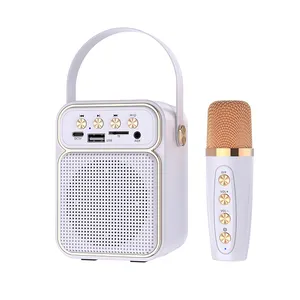 무선 마이크가있는 ES-4049 노래방 기계 휴대용 블루투스 PA 시스템 서브우퍼 지원 TWS 라디오 AUX In, REC,