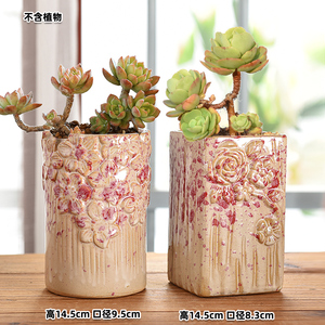 Maceta <span class=keywords><strong>de</strong></span> cerámica <span class=keywords><strong>pequeña</strong></span> para suculentas y cactus, maceta interior y exterior para amantes <span class=keywords><strong>de</strong></span> las suculentas y los cactus - Product Image 4