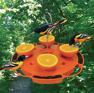 Mangeoire à oiseaux de <span class=keywords><strong>grande</strong></span> capacité (33 oz) avec fosse anti-fourmis intégrée, pour oiseaux orange-oriole, décoration de jardin extérieur - Product Image 1