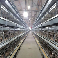 Cage de type H pour poulets de chair et pondeuses, galvanisée et en acier Q235, 4 à 12 niveaux, avec système entièrement automatique d'alimentation, d'abreuvement et de collecte des œufs