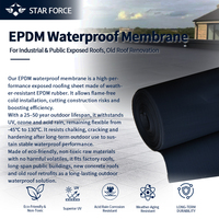 Membrana Impermeabilizzante in Gomma EPDM Rinforzata, Foglio per Coperture Standard ASTM D4637, Autoadesiva per Tetti Piani e Rivestimenti per Stagni