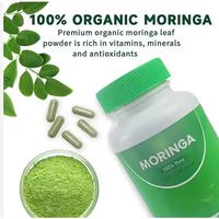 Kapsul Ekstrak Moringa Dewasa Bersertifikat GMP, Suplemen Energi Herbal Penguat Imunitas Superfood Antioksidan untuk Grosir