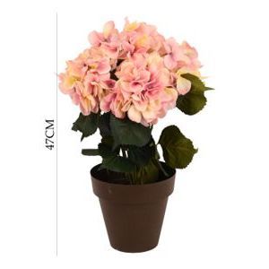 บอนไซไฮเดรนเยียสีชมพู5หัว-ต้นไม้ตกแต่ง - Product Image 1