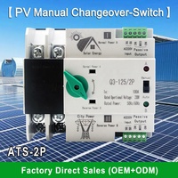 RUIPEIN Din Rail ATS 2P 63A 100A PC 6kA Kapasitas Pemutusan 6kA Satu Fasa Dual Power Automatic Transfer Switch PV Inverter CE IP40