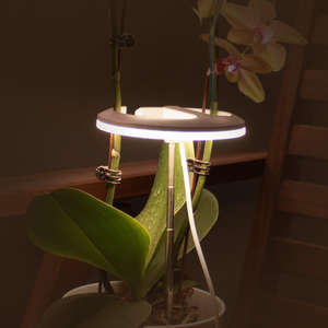 जे एंड सी प्लेटर मेट 10 डब्ल्यू सफेद सुरम्य स्पेक्ट्रम के कारण हल्के माइग्रो लाइट उगाई जाती है - Product Image 2