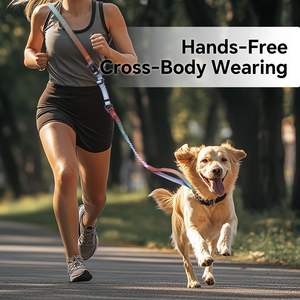 QQPETS Bungee a tracolla guinzaglio per cani regolabile in vita - Product Image 6