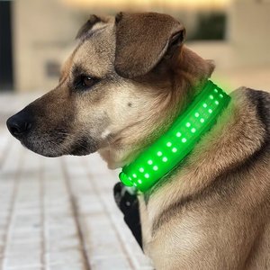 Aplicación controlada por teléfono inteligente, duradero, clásico, LED sólido, luminoso, recargable, Collar para perro mascota para seguridad en el paseo nocturno - Product Image 4