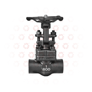 2 인치 3 인치 4 인치 탄소강 800LB C27 A105N 소프트 씰 플랜지 연결 주철 용접 게이트 밸브 - Product Image 1