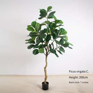 Jade Horizon, <span class=keywords><strong>plante</strong></span> artificielle durable et écologique, ficus, <span class=keywords><strong>d</strong></span>écoration de jardin <span class=keywords><strong>d</strong></span>'intérieur et <span class=keywords><strong>d</strong></span>'extérieur, vente en gros, <span class=keywords><strong>chambre</strong></span> à coucher - Product Image 5