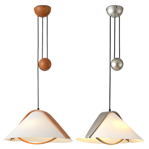 Lampe suspendue vintage style Domus du milieu du siècle, avec poids d'équilibrage, réglable en hauteur, pour salle à manger, café et hôtel - Product Image 2