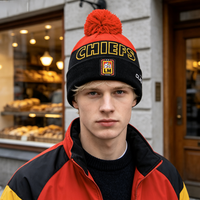 Chapeau d'hiver tricoté personnalisé 100% acrylique rouge et violet avec logo brodé jacquard, à revers, ajustement extensible pour usage quotidien, cadeau de vacances