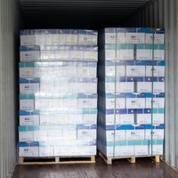 Papel de Copia A4 100% Pulpa de Madera Virgen 70/75/80gsm, Servicio OEM, Papel de Impresión para Oficina al por Mayor para Clientes B2B