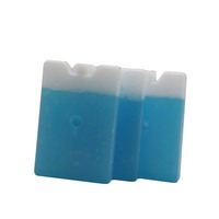 15x10x2cm, 200g, petit refroidisseur de déjeuner réutilisable, brique de glace, boîte à glace pour enfants