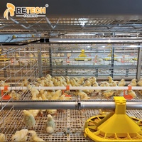 Équipement d'élevage de volailles moderne Cages de batterie de poulet Système d'élevage de poulets de chair avec système de nettoyage du fumier
