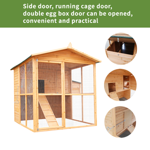 Grande e confortevole spazio di vita durevole in legno pollaio in vendita - Product Image 3