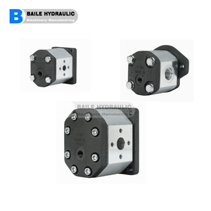 Motores de Engranajes Bidireccionales Serie POMPE GHM: GHM2, GHM2A, GHM2A3, GHM2BK1, GHM2BK2, GHM2BK4, GHM2BK7 - Product Image 3