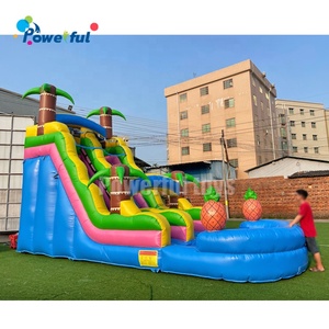 Tobogán de agua inflable de gran piña de nuevo diseño con piscina para niños, Tobogán al aire libre - Product Image 4