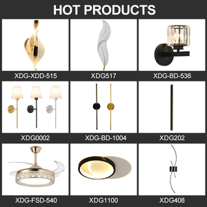 Le lustre dans la salle à manger est simple et moderne, tandis que la lampe de table dans le salon est créative et en fer. - Product Image 6
