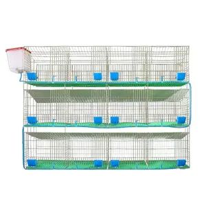 Grande Ferme Cage Galvanisée <span class=keywords><strong>pour</strong></span> Lapins Élevage de Lapins Cages Durables Offertes à la Vente - Product Image 1