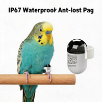 Traceur Bluetooth robuste de 2,2 g, dispositif de suivi des oiseaux pour la conservation des espèces menacées
