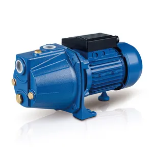 Streampumps bomba de água potável, 0.75hp 1hp 0.75kw da superfície do jardim reforço da fonte de água