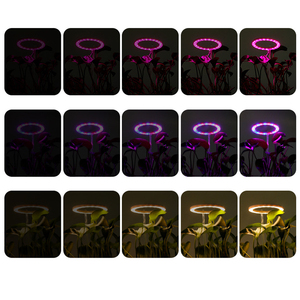 Kit de Cultivo de Bonsái Interior, Perlas de <span class=keywords><strong>Coco</strong></span>, Maceta con Autorriego y Luz LED de Cultivo - Product Image 2