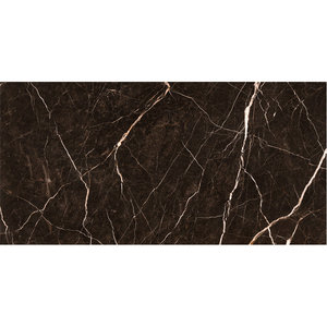 Piastrella <span class=keywords><strong>in</strong></span> Porcellana Lucida Marrone 60x120cm (24x48 pollici) Design Moderno, Lastra Quadrata Lucida per Pavimenti Interni - Product Image 3