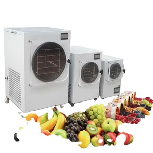Máy Sấy Đông Khô Thực Phẩm Tự Làm Tại Nhà Chất Lượng Cao Máy Bơm Hút Chân Không Gia Dụng Máy Sấy Đông Lạnh - Product Image 1