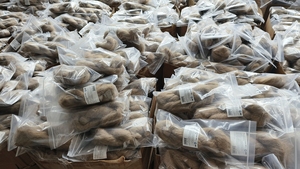 Pâte d'étanchéité grise haute température 65g pour plomberie avec composé de jointoiement pour la réparation des fuites de plomberie - Product Image 6