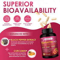 Capsules de berbérine HCl personnalisées de 1200 mg avec cannelle de Ceylan, supplément de berbérine au chrome soutient la santé gastro-intestinale et cardiaque