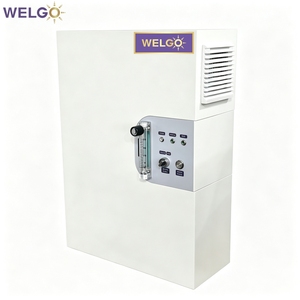 Générateur d'ozone <span class=keywords><strong>tubulaire</strong></span> WELGO 2 grammes à alimentation par air, machine à ozone compacte à refroidissement par air pour la désinfection de l'eau des piscines et des spas - Product Image 1