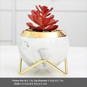 Pots de fleurs en céramique modernes et luxueux pour l'intérieur, avec supports métalliques et trou de drainage pour plantes succulentes - Product Image 5