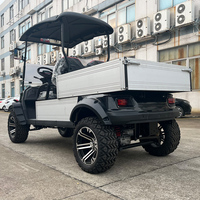 Fabricant de voiturettes de golf de luxe personnalisées voiturette de golf électrique 2 places avec batterie au lithium