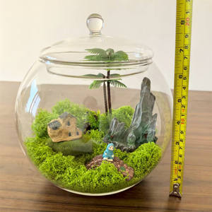 Barattolo moderno per terrario da 20cm con coperchio in vetro vaso decorativo da tavolo e urna per uso interno domestico - Product Image 3