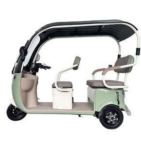 Tricycle électrique à 3 roues préféré des jeunes carrosserie ouverte voiture en acier 200kg charge utile motorisée CEE/Dot certifiée pour <span class=keywords><strong>passager</strong></span> - Product Image 2
