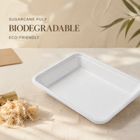 Plateau rectangulaire à emporter de haute qualité, écologique et biodégradable en canne à sucre/bagasse, 6, 7, 8, 9, 10, 13 pouces, à prix compétitif
