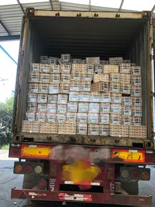 <span class=keywords><strong>Pastiglie</strong></span> Freno Certificate Emark di Alta Qualità 29087 29171 29244 29246 29174 per Camion Pesanti Ferodos Actros Garanzia 150.000 km - Product Image 6