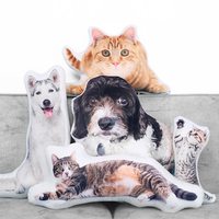 Coussin en peluche imprimé en 3D Ecai, décoration d'intérieur, canapé, coussin décoratif de forme irrégulière personnalisé