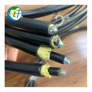 <span class=keywords><strong>Cable</strong></span> de Fibra <span class=keywords><strong>Óptica</strong></span> Monomodo ADSS Totalmente Dieléctrico Autoportante de 4-144 Núcleos G.652D con Revestimiento de PE Aéreo, IEC 60794 IEEE 1138 - Product Image 6