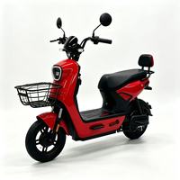 Speedometer Digital Sepeda Listrik 48V 500W, Keranjang Depan Logam, Jok yang Dapat Disesuaikan, Kontroler Tahan Air untuk Dewasa