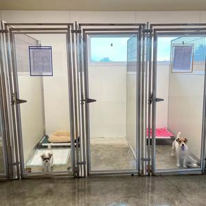 Özelleştirilmiş çelik evcil hayvan kulubesi kafes sandık Walk-in yatılı kulübesi çoklu açık büyük köpek kulübesi - Product Image 1