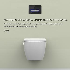 Tanque de <span class=keywords><strong>agua</strong></span> de plástico <span class=keywords><strong>para</strong></span> inodoro inteligente, marco de Metal HDPE, doble descarga - Product Image 3