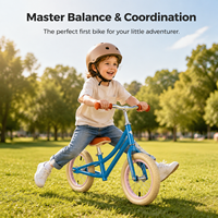 Bicicleta de Equilibrio para Niños, Tamaño Personalizado, Sillín Ajustable, Bicicleta para Caminar para Niños Pequeños, Bicicleta de Entrenamiento de Equilibrio para Niños