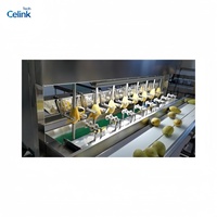 Celink Brand Automatische Op Maat Ontworpen Fruit- en Groenteverwerkings- en Verpakkingslijn