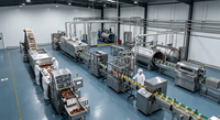 Energiebesparende turnkey lijn voor de verwerking van lychee blikjes, inclusief was-, reinigings- en verpakkingsmachines voor de productie van fruit en voedingsmiddelen.