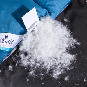 Vente flash <span class=keywords><strong>Couette</strong></span> épaisse d'hiver en <span class=keywords><strong>duvet</strong></span> d'<span class=keywords><strong>eider</strong></span> <span class=keywords><strong>Couette</strong></span> King Size <span class=keywords><strong>Couette</strong></span> d'hôtel Utilisation domestique - Product Image 4