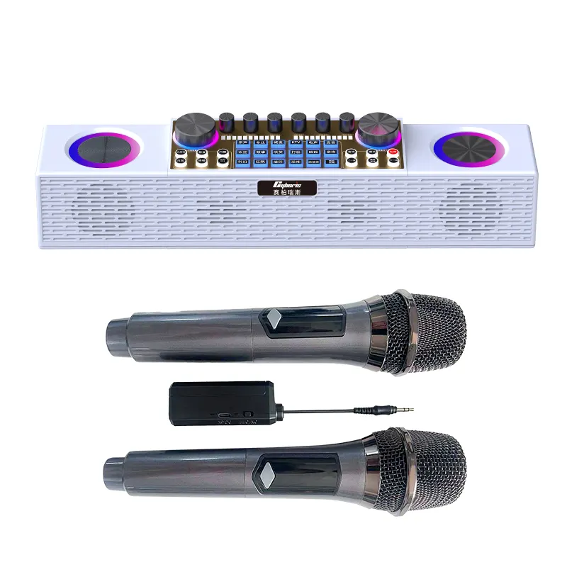 Karaoke Geluidskaart Draadloze Luidspreker Met 2 Microfoons Hifi Rgb Verlichting Draagbare Luidspreker Voor Live Streaming